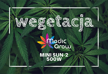 Medic Grow MINI SUN-2 - odcinek 2
