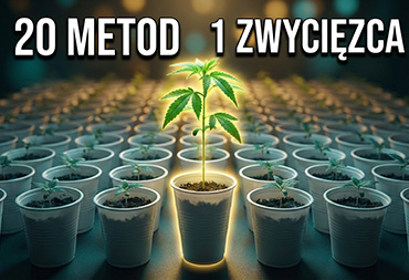 200 nasion 🌱 Największy TEST kiełkowania — wynik zmienił WSZYSTKO - badanie naukowe