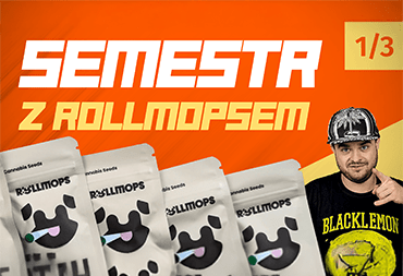 Kiełkuję 8 odmian sezonowych // Semestr z ROLLMOPSEM - odcinek 1