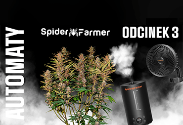 Odcinek 3 - automaty