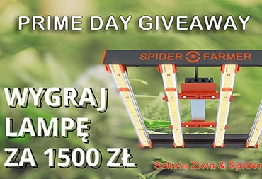 Konkurs - wygraj lampę Spider Farmer SE3000 300W