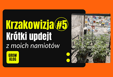 Krzakowizja #5 - VLOG